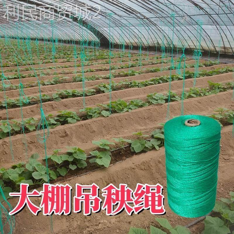 泥龙绳爬藤植物牵引吊秧绳豆角番茄黄瓜大棚吊蔓绳蔬菜尼网拉绳