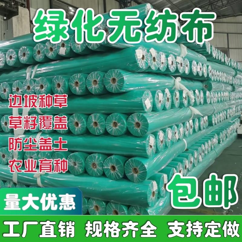 绿化不织布绿色透气膜园林工地防尘盖土布草坪护坡边坡植草不织布