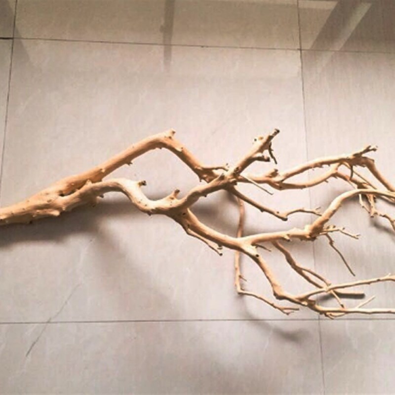 优选干树枝造景原木干枝酒店橱窗设计枯枝真树枝墙面装饰吊灯树枝