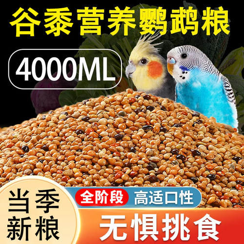 鹦鹉鸟粮【当季新粮】新鲜饱满！