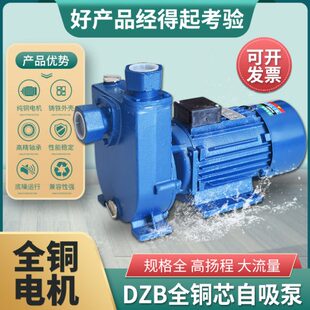 DZB大功率1.5KW自吸泵加强泵供水泵增压泵循环泵 工业级单相WZB