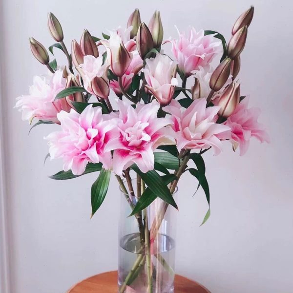 北京发货重瓣百合鲜切花多瓣真花水养婚庆家用瓶插花送保鲜剂包邮
