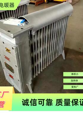 127v煤矿用防爆电热取暖器2000w矿井用取暖器厂家 油酊取暖器厂家