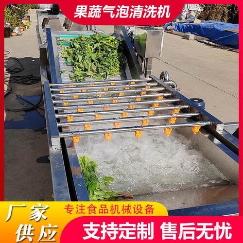 定制果蔬气泡清洗机撇菜根去泥沙清洗机折耳根喷淋鼓泡清洗机设备