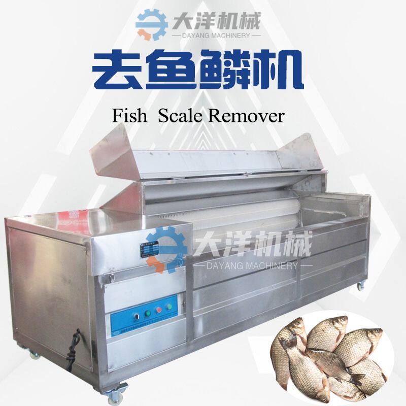 沙丁鱼去鳞机不锈钢材质产量高去皮效果好现货销售毛刷式脱磷机器