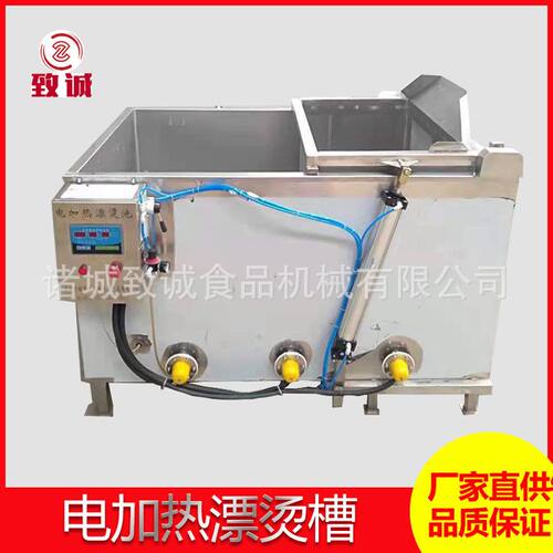 自动出料预煮设备 电加热杀青设备 蔬菜深加工水槽加热温度可设定