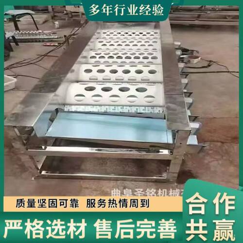 厂家直销大型果蔬分选机轨道式马蹄蓝莓选果机 商用圣女果分级机