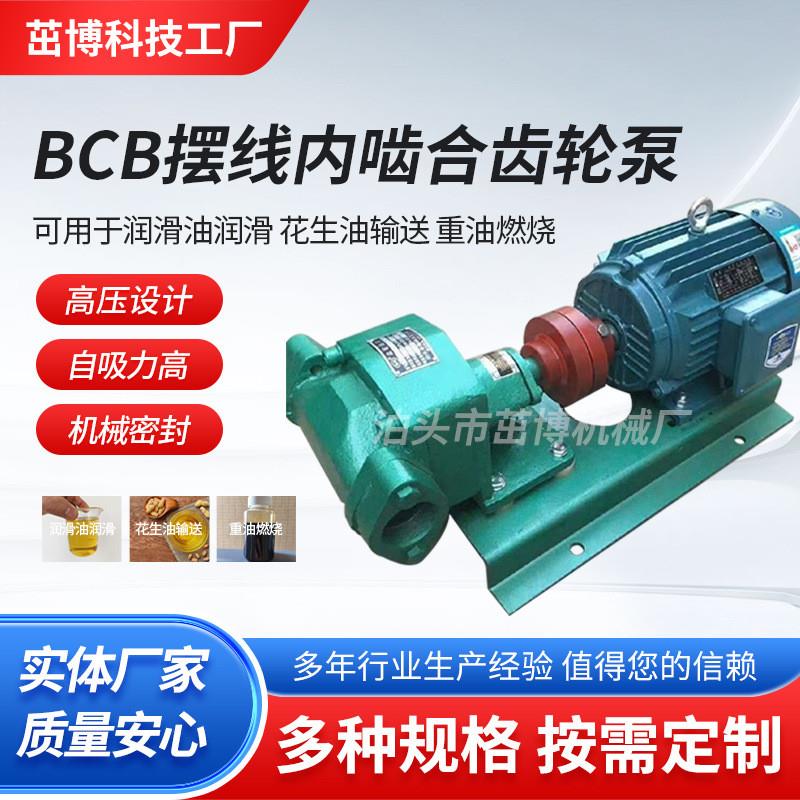 BCB摆线内啮合齿轮泵 润滑油花生油输送泵 机油泵 齿轮油泵