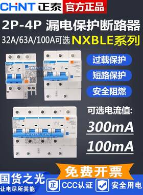正电漏电Dz47Le Nxble 2P 100Ma 300Ma漏电保护开关0.1A 0.3A