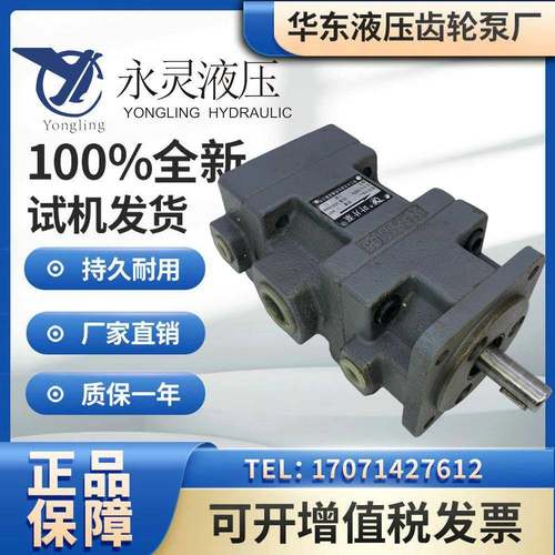 仙居永灵液压双联泵YB1-63-125/31.5-50 YB1-31.5-50/12.5-25油泵