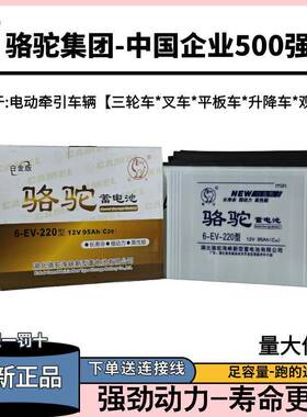 原装正品骆驼水电瓶12V160AH大容量320型60V电动三轮车铅酸蓄电池