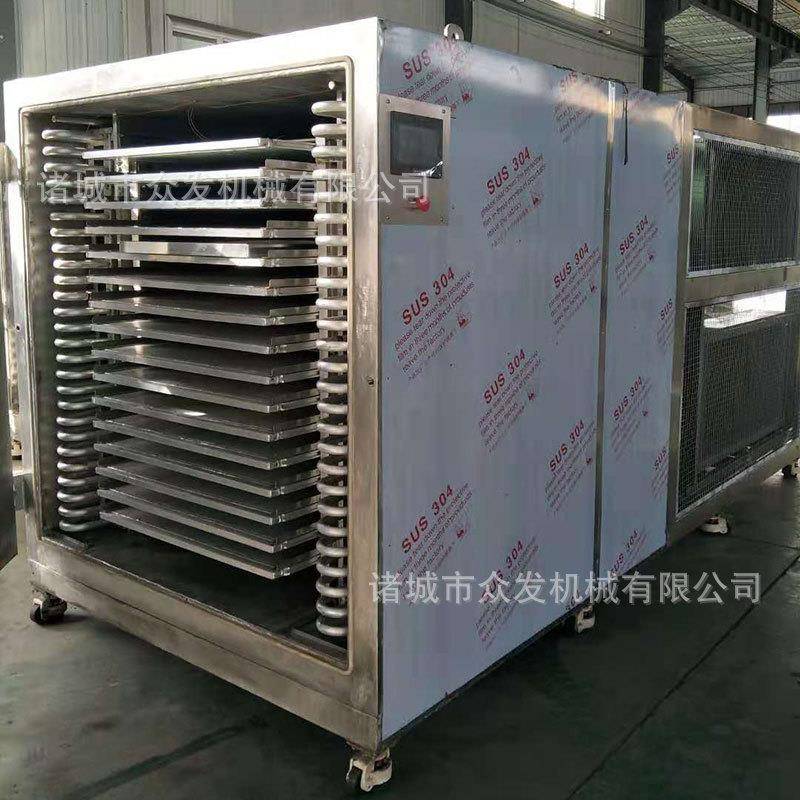 应供植物蔬菜真冻干咖啡店空冻干机10c白果真空冷机冻干燥机