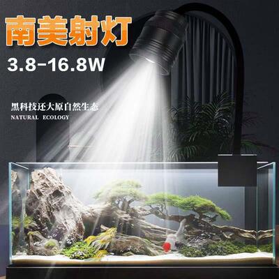鱼缸观赏灯南美缸射灯鱼缸灯led灯溪流缸灯水草南美缸雷龙鱼专用