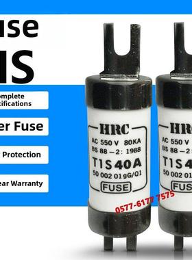 HRC熔断器RG2 TIS 50A 60A 63A 80A 100A 500V 550V保险丝管660V