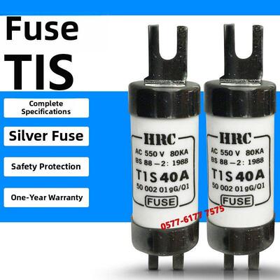 HRC熔断器RG2 TIS 50A 60A 63A 80A 100A 500V 550V保险丝管660V