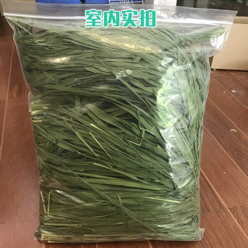 精选烘干绿燕麦草多叶烘烤干草兔草兔子燕麦草高纤维兔粮500g