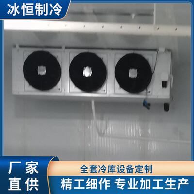 保鲜冷库套设备安装 水果蔬菜肉类保鲜库 冷链供应大型冰库设备