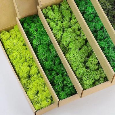 Artificial Green Plants Fake Grass Eternal Life Moss Grassfo