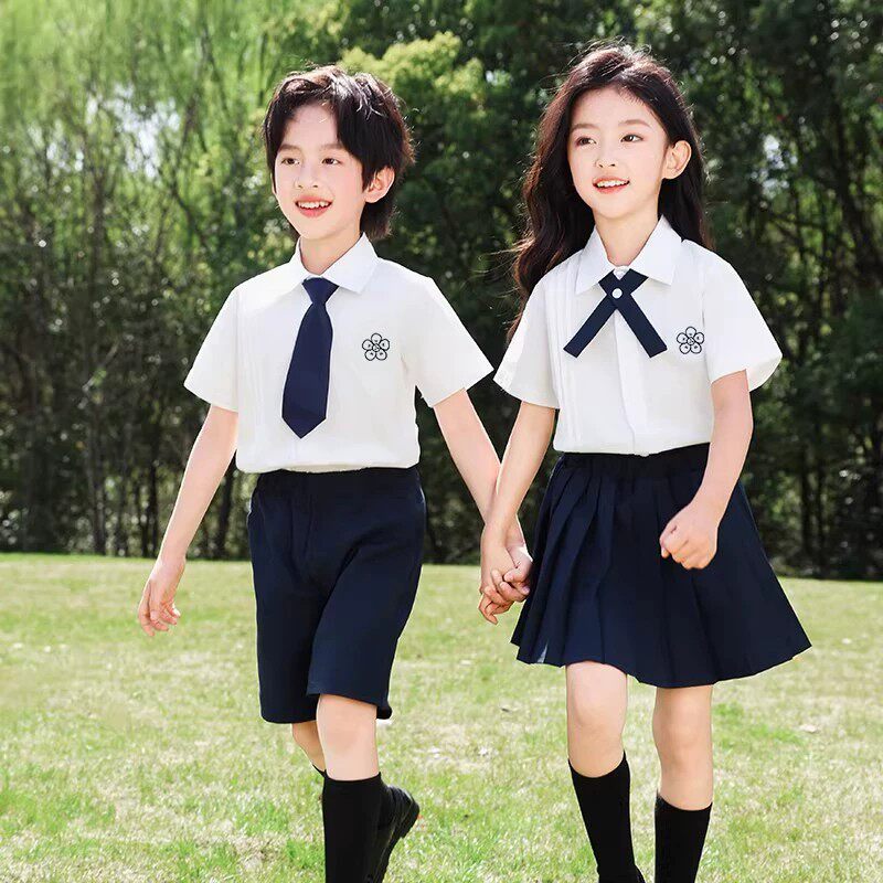 毕业季学院风百褶裙校服班级拍照