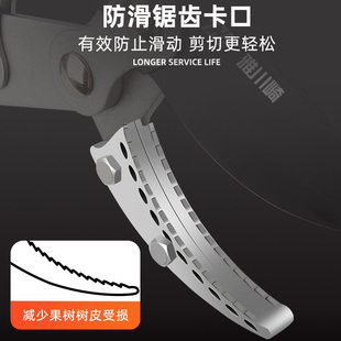 园林修枝剪树枝专用剪刀果树粗枝剪大剪刀园艺修枝修剪树枝剪刀