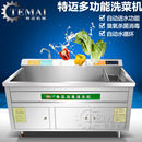 小型果蔬气泡清洗机厂家 洗果机设备 小型蔬菜水果洗菜机 鼓泡式