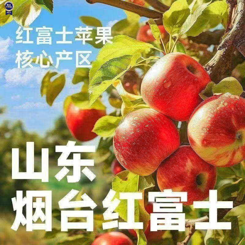 新日期NFC纯苹果汁】100%苹果整箱天然果蔬汁鲜果汁孕妇儿童无添