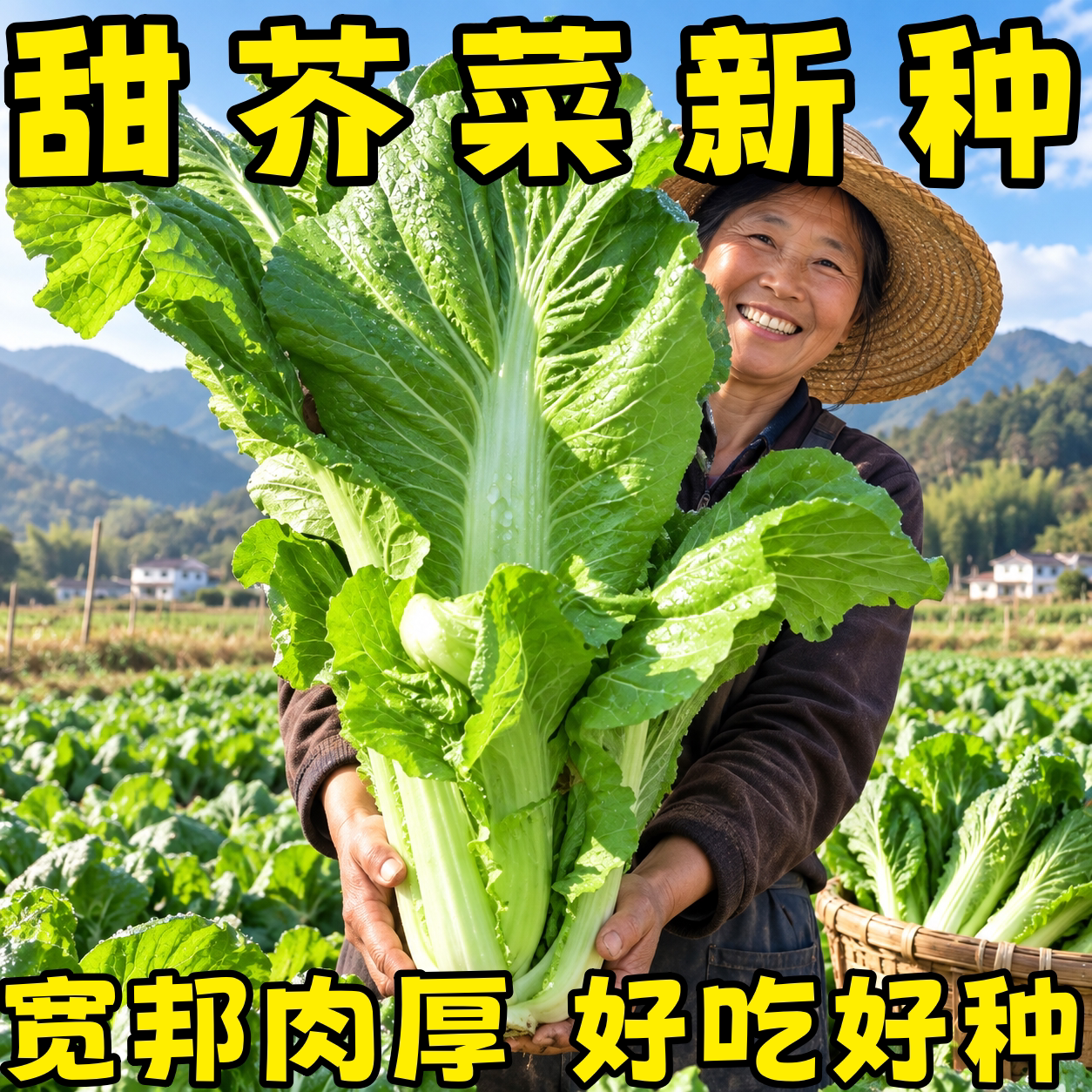 广东优选芥菜疙瘩种子四季高产