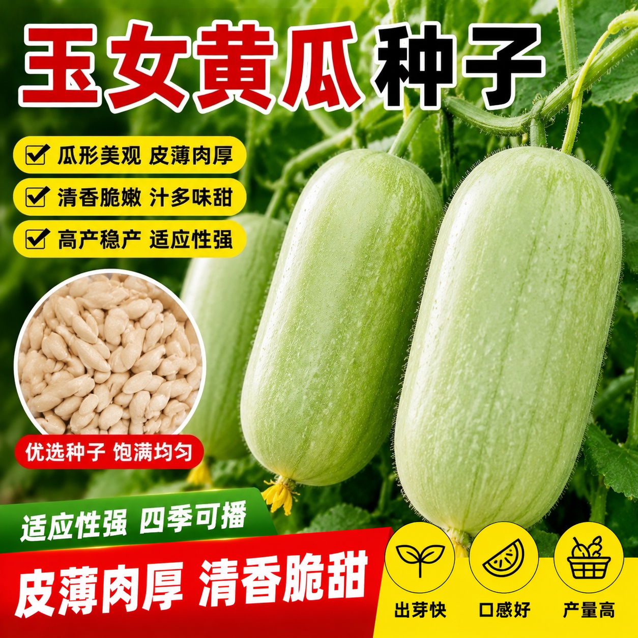 玉女迷你黄瓜种子脆甜无渣高产