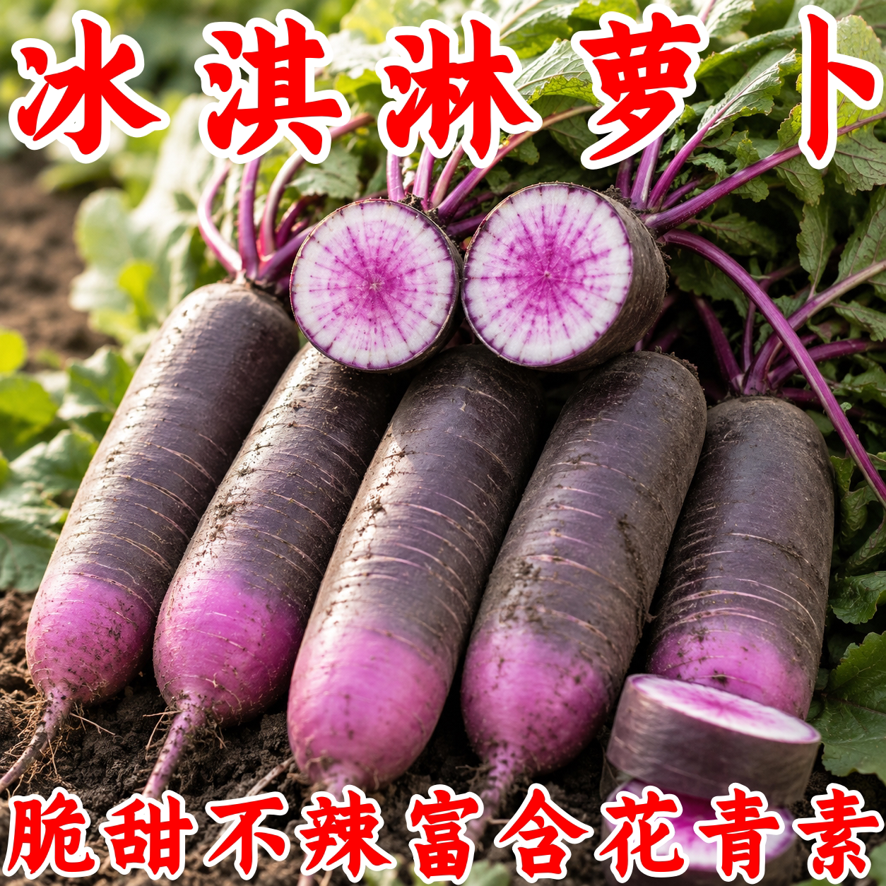 冰淇淋萝紫皮紫心萝卜种子可生吃