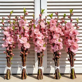 水培植物桃花枝带花水养鲜切花卉鲜花树室内雪柳好养绿植春季鲜花