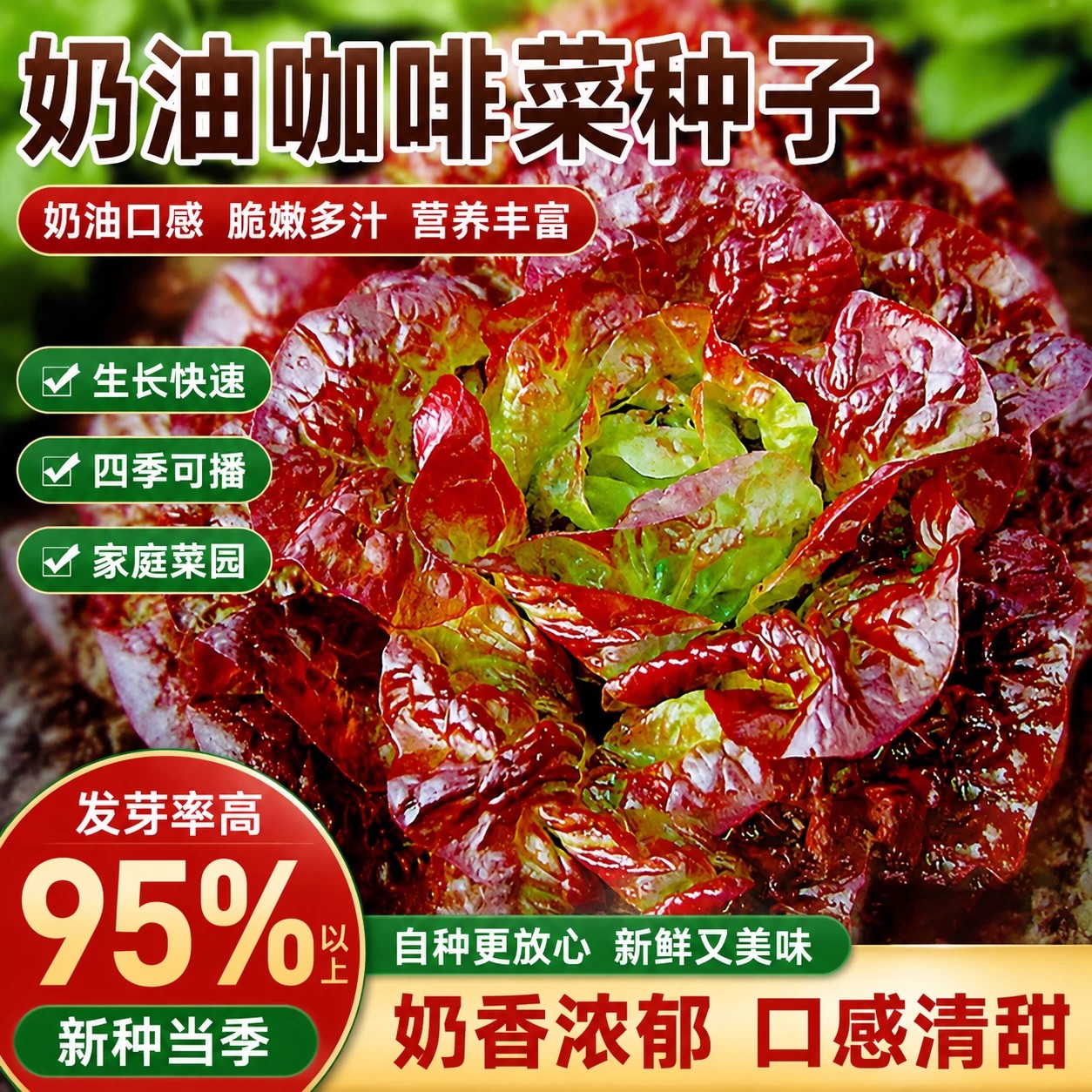 奶油咖啡生菜种子脆甜沙拉