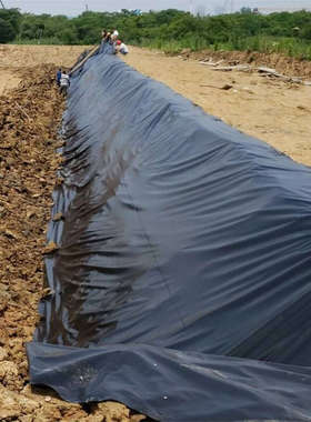 鱼塘 藕池人工湖河道防渗膜水库蓄水池防渗膜屋顶花园黑色土工膜