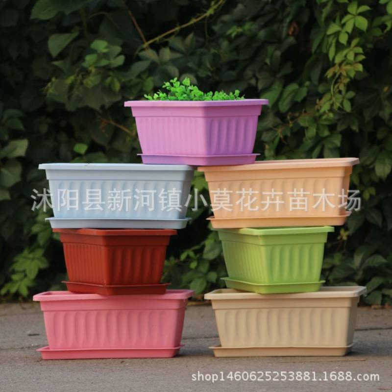 经济耐用长方形阳台种菜盆 多色塑料花槽花盆 配底盘