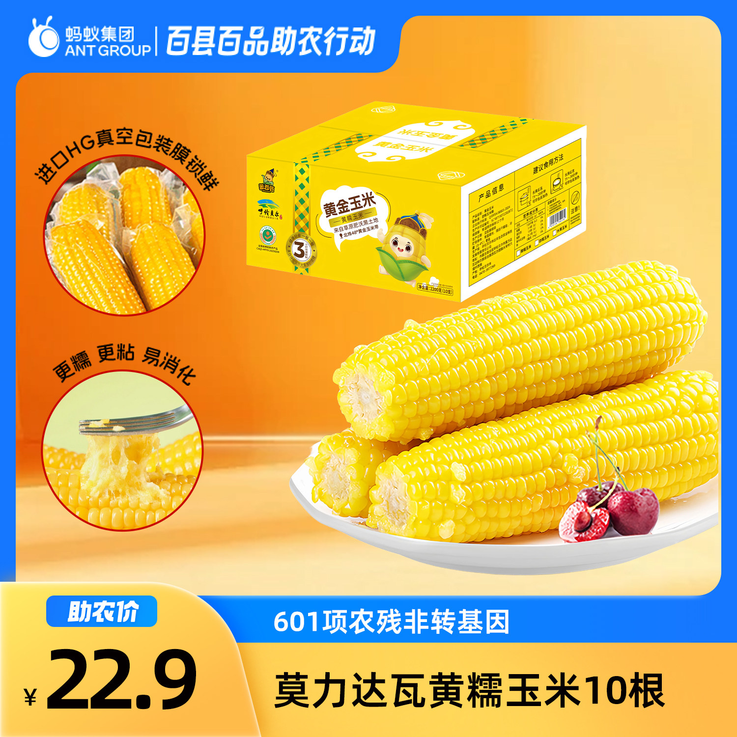 莫力达瓦旗非转基因黄糯玉米260g大棒10根/箱