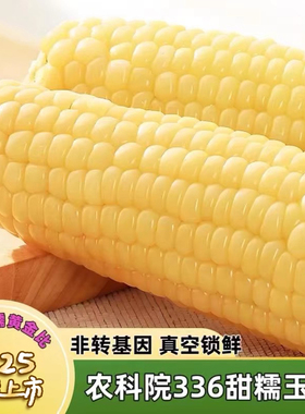 农科院336东北黑土地白糯玉米棒260g大棒进口HG透明包装又甜又糯