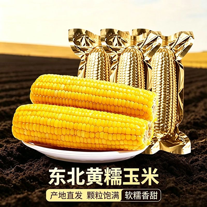 东北大苞米黄糯玉米棒250g大棒真空铝箔包装新粗粮代餐糯香甜