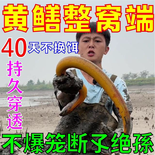 钓黄鳝诱饵专用饵料抓鳝鱼泥鳅神器诱鱼诱虾地网鱼笼饵料万能鱼饵
