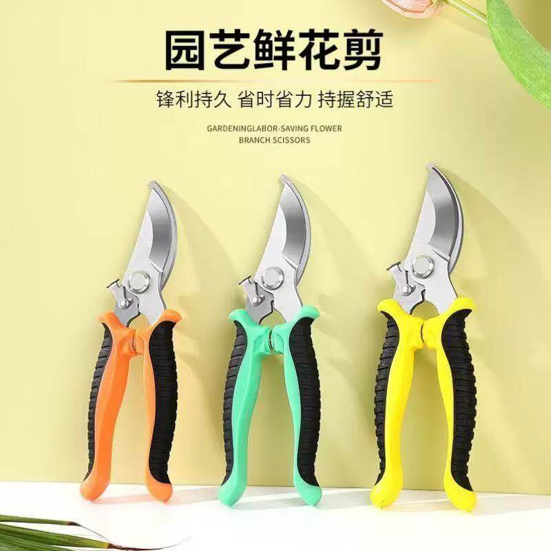 树枝粗枝剪果树剪子家用盆栽花园花圃专用剪子园丁园林树枝剪