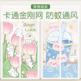 防蚊门帘金刚网磁性纱窗纱门卧室房间家用免打孔夏季 新款 隔断帘子