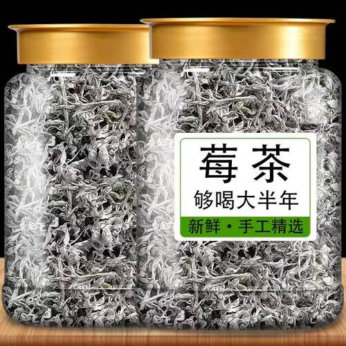 莓茶湖南永顺张美丽家界永顺官方旗舰店特级野生的功效与作用乌龙