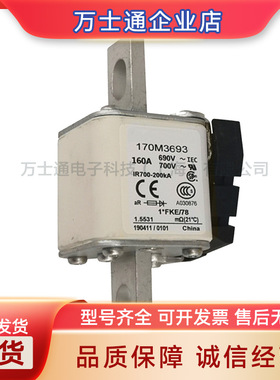 170M3739 170M3740 170M3741 170M3742/3743/3744/3745全新熔断器