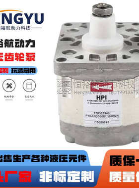HPI齿轮泵P1BAN2008BL10B02N P3BAN2022CL10B02N C5082379液压泵