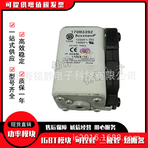 170M3458 170M3459 170M3460 170M3461巴斯曼熔断器170M3462