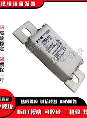 170M1740 170M1741 170M1742 170M1785 170M1786巴斯曼熔断器现货