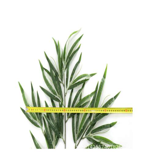 真植物单枝大叶富贵竹绿树植可可206叶松枝落仿地盆景厂家竹装饰