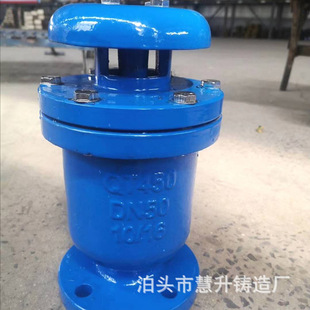 批发SCAR污水排气阀球墨铸铁排污阀污水复合式快速排气阀放气