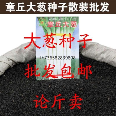章丘铁杆大葱种子高产冬
