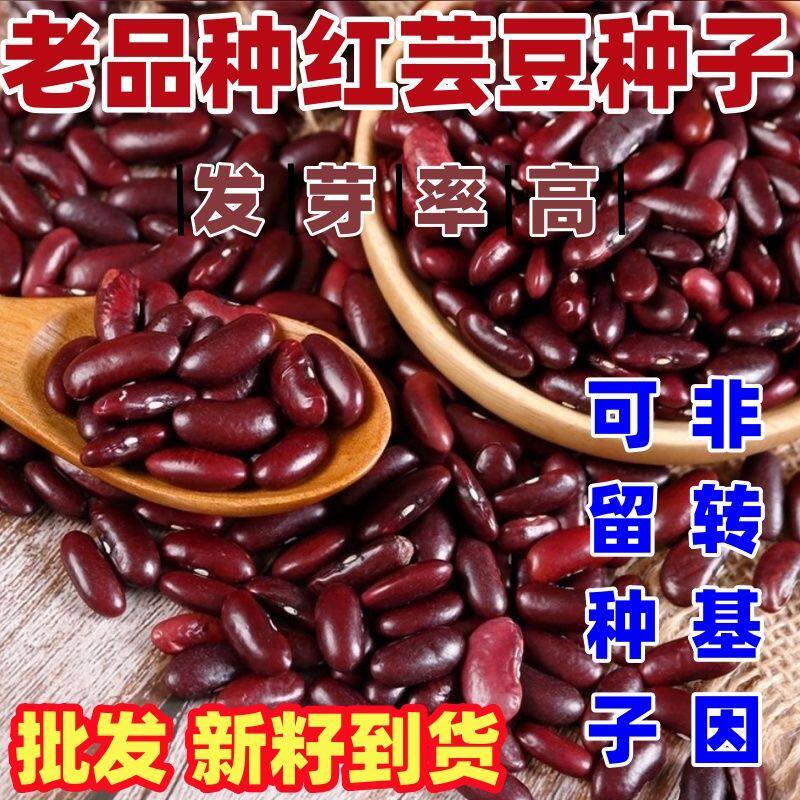 红芸豆 农家自产云南产大红豆红腰豆花豆5斤散装红芸豆种子杂粮