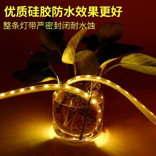 l482ed幻彩灯带霓虹灯条带灯程跑马流外水控可编灯光展舞台KTV