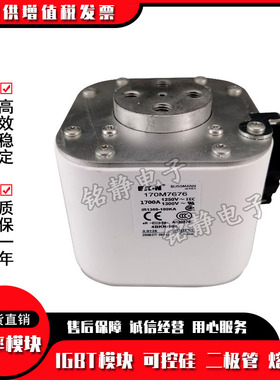 170M7513 170M7515 170M7516 170M7978巴斯曼熔断器现货